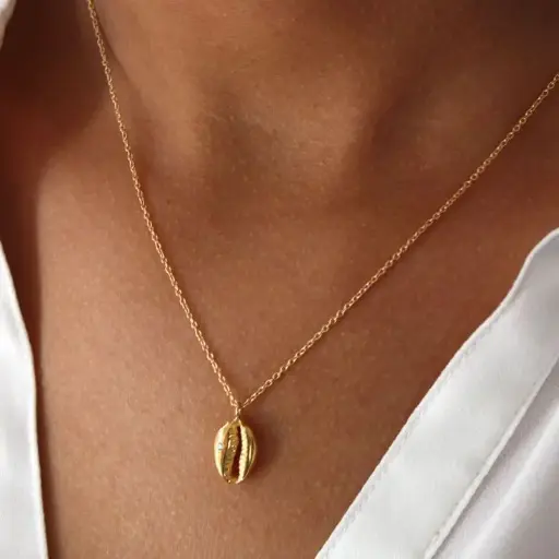 Collier Coquillage Cauri